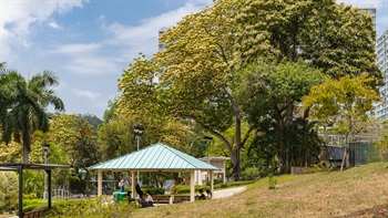 公園內很多植物都已在園內生長多年，其樹冠為使用者提供大量樹蔭。